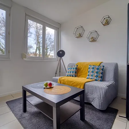 Le Muse Quartier Proche Transport Parking Prive Un-sejour-a-part Apartment Metz